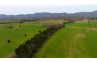 Property photo 16 - LAND AUCTION - 533+/- ACRES OFFERED IN 5 TRACTS IN HARDY COUNTY, WEST VIRGINIA